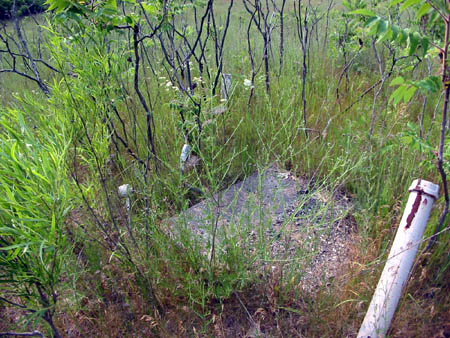Lakeshore Drive-In Theatre - Foundation - Photo From Water Winter Wonderland (newer photo)